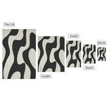 Load image into Gallery viewer, Black and white streams area rug