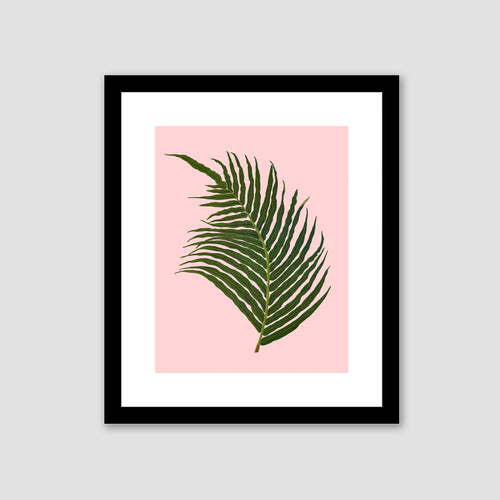 Palm tree leaf framed art, tropical art, wall art, palm tree leaf print, tropical giclee wall decor, wall hanging, Interior design, coastal