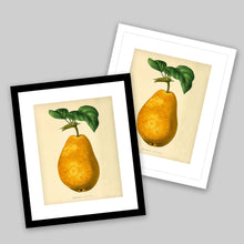 Load image into Gallery viewer, Vintage Pear framed art, botanical style art, wall art, fruit print,  giclee wall decor, wall hanging, Interior design, Fall wall decor