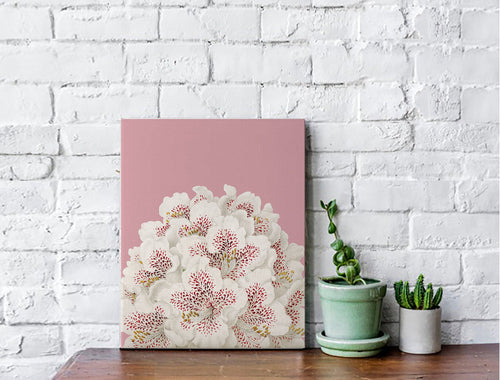 White flowers canvas wrapped art, pink floral art, dreamy art, art print, giclee print, wall hanging, Interior design, coastal style, floral