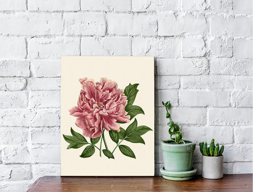 Peony canvas wrapped art, pink floral art, dreamy art, art print, giclee print, wall hanging, Interior design, coastal style, floral