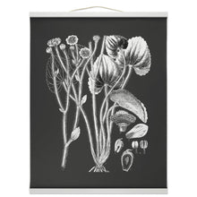Load image into Gallery viewer, Botanical Illustration Hanging Canvas Print, Encyclopedia Art, Home Decor, Wall Art, Wall Hanging, Interior Decor, Home Accent, Art For Wall