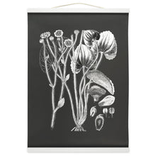 Load image into Gallery viewer, Botanical Illustration Hanging Canvas Print, Encyclopedia Art, Home Decor, Wall Art, Wall Hanging, Interior Decor, Home Accent, Art For Wall