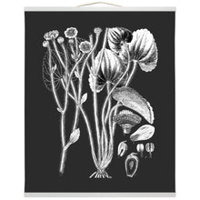 Load image into Gallery viewer, Botanical Illustration Hanging Canvas Print, Encyclopedia Art, Home Decor, Wall Art, Wall Hanging, Interior Decor, Home Accent, Art For Wall