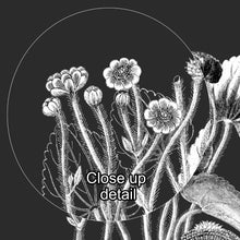 Load image into Gallery viewer, Botanical Illustration Hanging Canvas Print, Encyclopedia Art, Home Decor, Wall Art, Wall Hanging, Interior Decor, Home Accent, Art For Wall