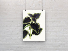 Load image into Gallery viewer, Leaves art print, fine art print wall decor, botanical art, vintage leaves, fine art for home, wall hanging, Interior design, home decor