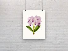 Load image into Gallery viewer, Lavender flowers art print, floral art print wall decor, botanical art, vintage flowers, fine art, wall hanging, Interior design, home decor