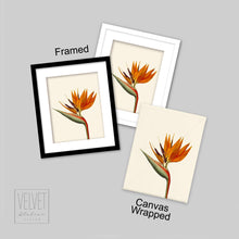 Load image into Gallery viewer, Bird of paradise canvas wrapped, tropical art, art print, tropical giclee wall decor, wall hanging, Interior design, coastal style, floral