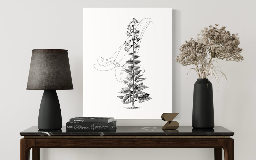 Floral Botanical Drawing