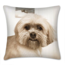 Load image into Gallery viewer, Custom pillow, dog pillow, photo, throw pillow, accent pillow, home decor, Interior decor, statement pillows, pillow cover and insert