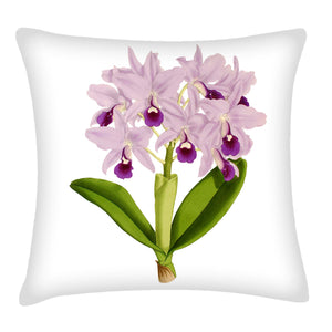 Orchid pillow, botanical accent, modern pillow, Interior decor, home decor, pillow cover and insert, stylish decor, floral pillow