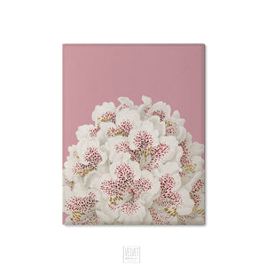 White flowers canvas wrapped art, pink floral art, dreamy art, art print, giclee print, wall hanging, Interior design, coastal style, floral