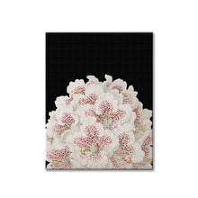 Load image into Gallery viewer, White flowers canvas wrapped art, black &amp; pink, dreamy art, art print, giclee print, wall hanging, Interior design, coastal style, floral