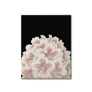 White flowers canvas wrapped art, black & pink, dreamy art, art print, giclee print, wall hanging, Interior design, coastal style, floral