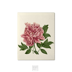 Peony canvas wrapped art, pink floral art, dreamy art, art print, giclee print, wall hanging, Interior design, coastal style, floral