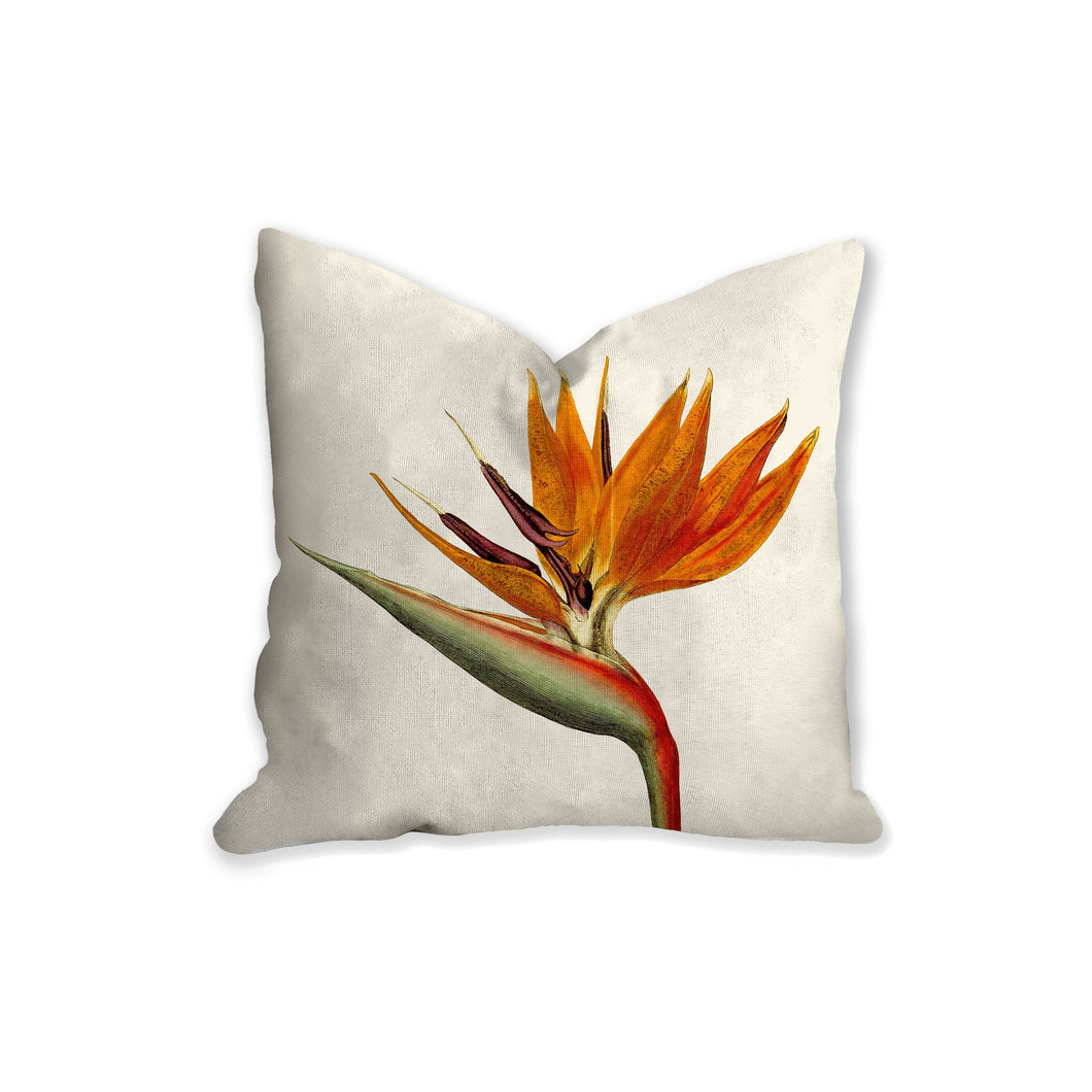 Bird of paradise throw pillow, tropical pillow, Interior decor, home decor, pillow cover and insert, botanical decor, tropical decor