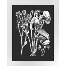 Load image into Gallery viewer, Botanical Art, Print And Frame Ready To Hang. Black And White Plant Illustration, Vintage Art, Chalk Board, Retro boho style, home decor