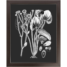 Load image into Gallery viewer, Botanical Art, Print And Frame Ready To Hang. Black And White Plant Illustration, Vintage Art, Chalk Board, Retro boho style, home decor