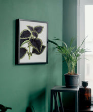 Load image into Gallery viewer, Leaves art print, fine art print wall decor, botanical art, vintage leaves, fine art for home, wall hanging, Interior design, home decor