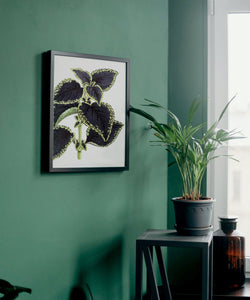 Leaves art print, fine art print wall decor, botanical art, vintage leaves, fine art for home, wall hanging, Interior design, home decor
