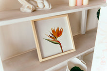 Load image into Gallery viewer, Bird of paradise art print, fine art print wall decor, botanical art, vintage flowers, fine art, wall hanging, Interior design, home decor