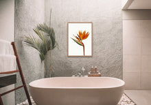 Load image into Gallery viewer, Bird of paradise art print, fine art print wall decor, botanical art, vintage flowers, fine art, wall hanging, Interior design, home decor